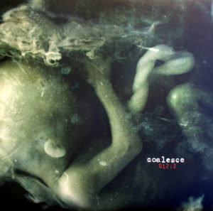 Coalesce - 012:2