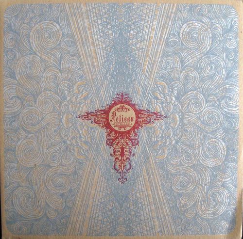 Pelican - Australasia