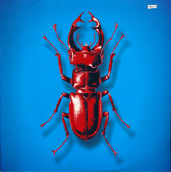 Flugschädel – Othniel Trug Flugschädel