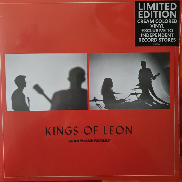 Kings Of Leon - When You See Yourself