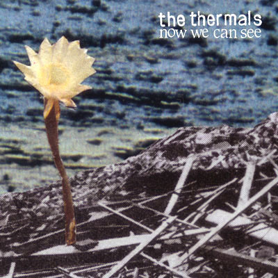 The Thermals - Now We Can See