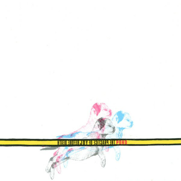 Pond - The Practice Of Joy Before Death