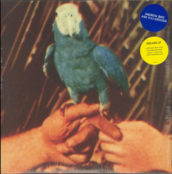 Andrew Bird - Are You Serious