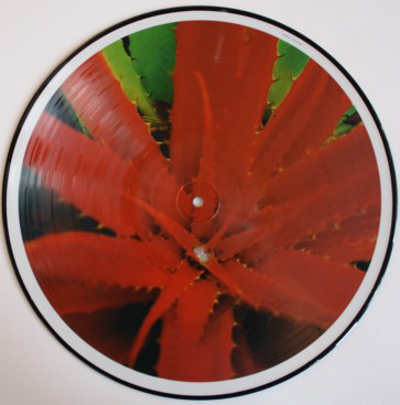 Jejune - This Afternoons Malady