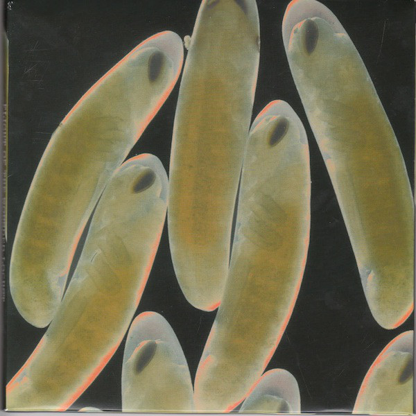 The Locust - Flight Of The Wounded Locust