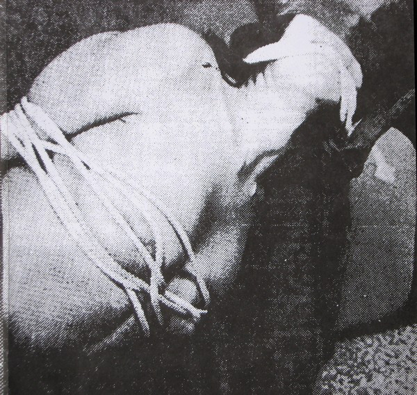 Born Against - Born Against