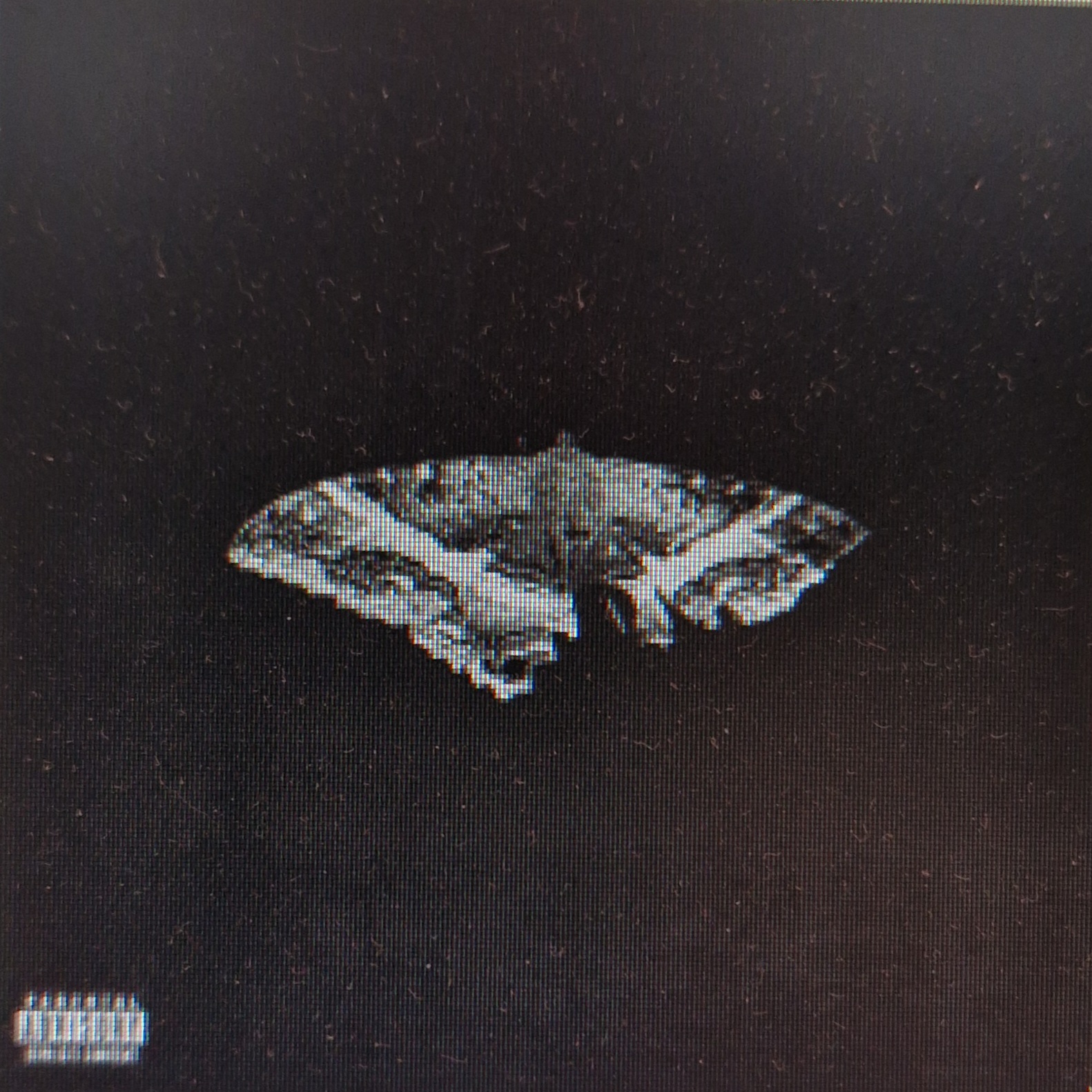 Kendrick Lamar - To Pimp A Butterfly (10th Anniversary Edition)