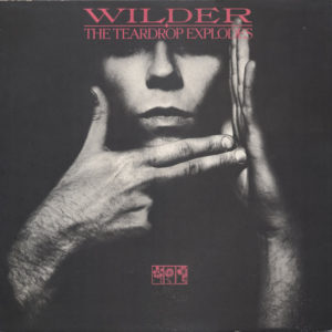 The Teardrop Explodes - Wilder