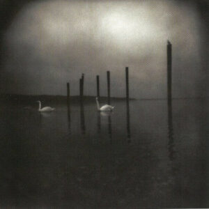 OM - Conference Of The Birds