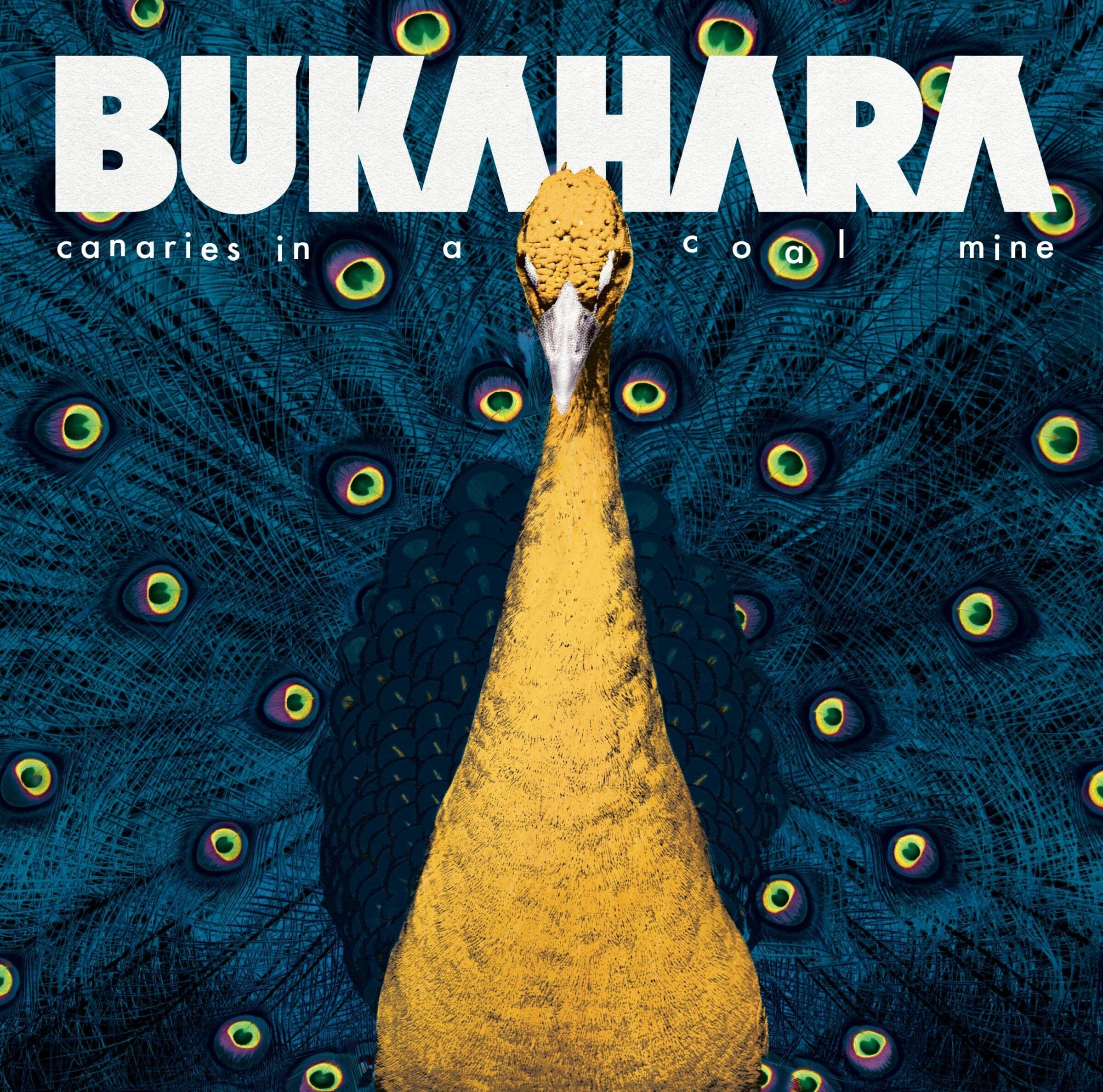 Bukahara - Canaries In A Coal Mine