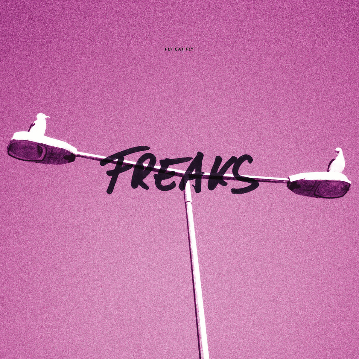 Fly Cat Fly - Freaks