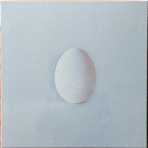 Wilco - A Ghost Is Born (20th Anniversary)