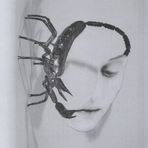 Tortoise - Touch