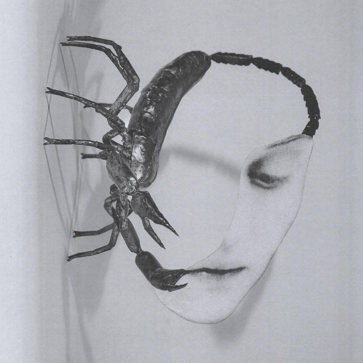 Tortoise - Touch