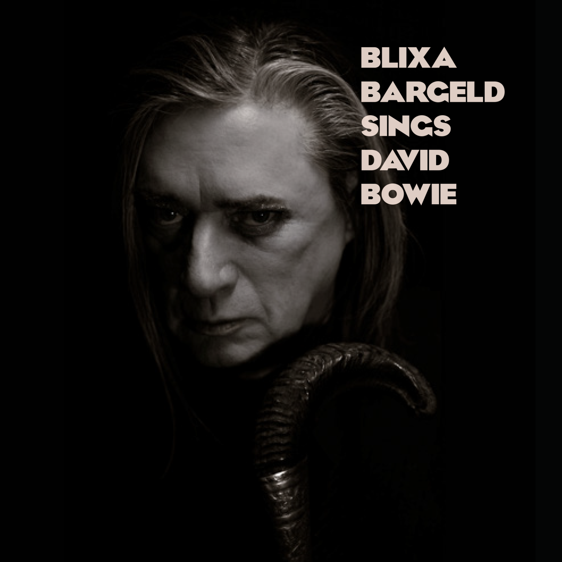 Blixa Bargeld - Blixa Bargeld Sings David Bowie