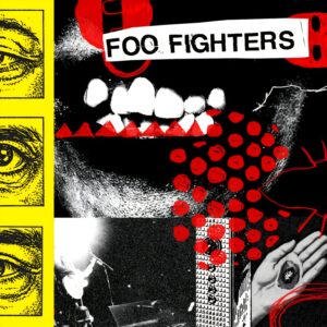 Foo Fighters - Your Favourite Toy (Indie Exclusive)