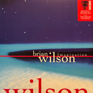 Brian Wilson - Imagination