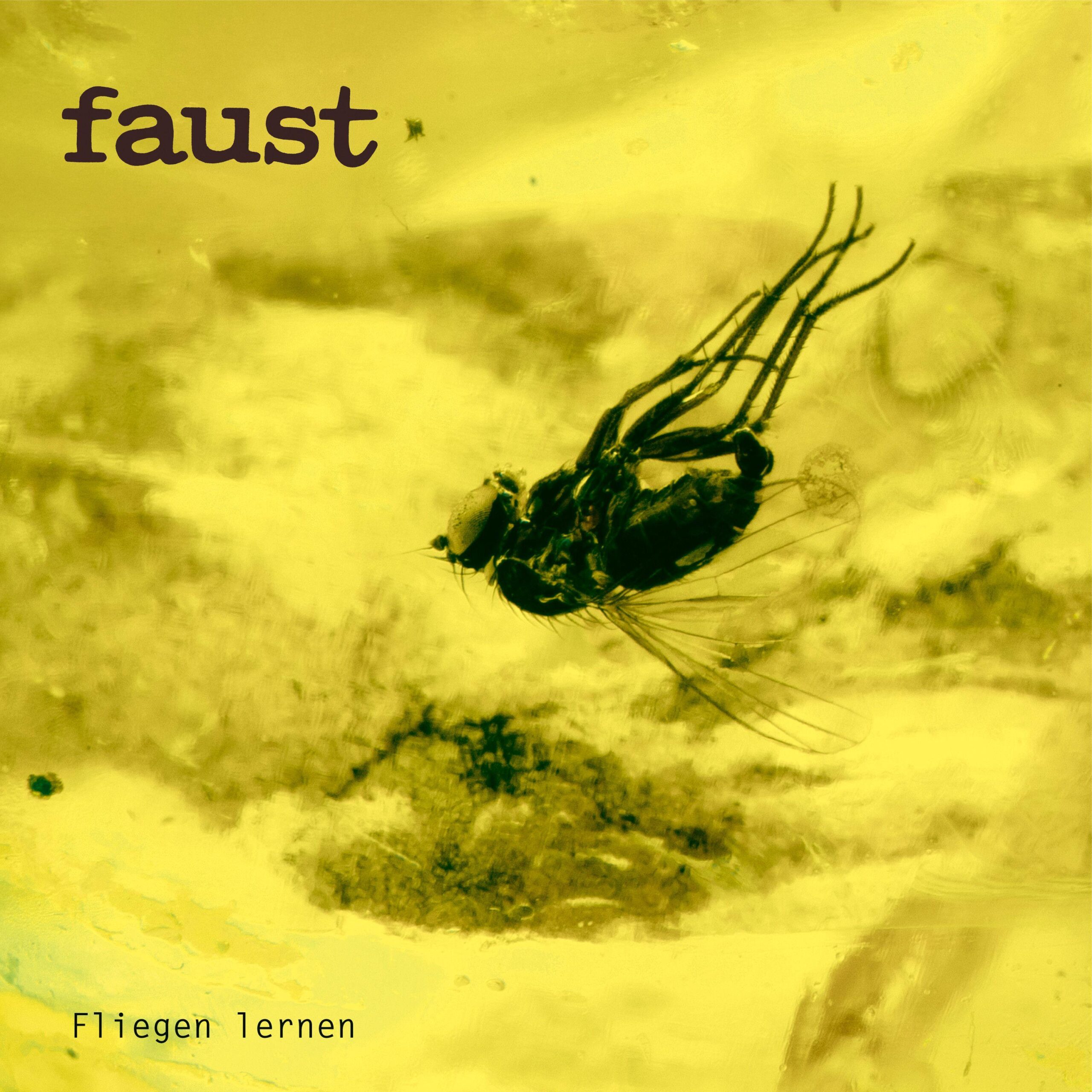 Faust - Fliegen Lernen (Curated By Gunter Wüsthoff)